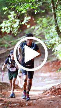 BIB:  <button type="button" onclick="openModal(27331578)" class="btn btn-primary btn-sm float-right" data-toggle="modal" data-target=".modal-high-quality">
                <i class="fa fa-download"></i> Download
                </button>